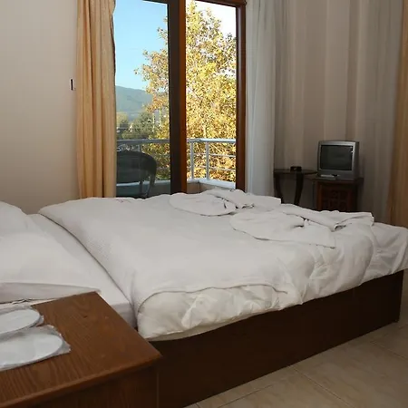 酒店 Pembe Kosk 4*